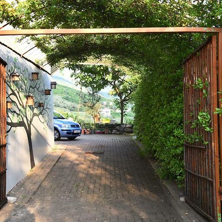 #Ioniahouse Surrel Villa Tiranë Luaran gambar
