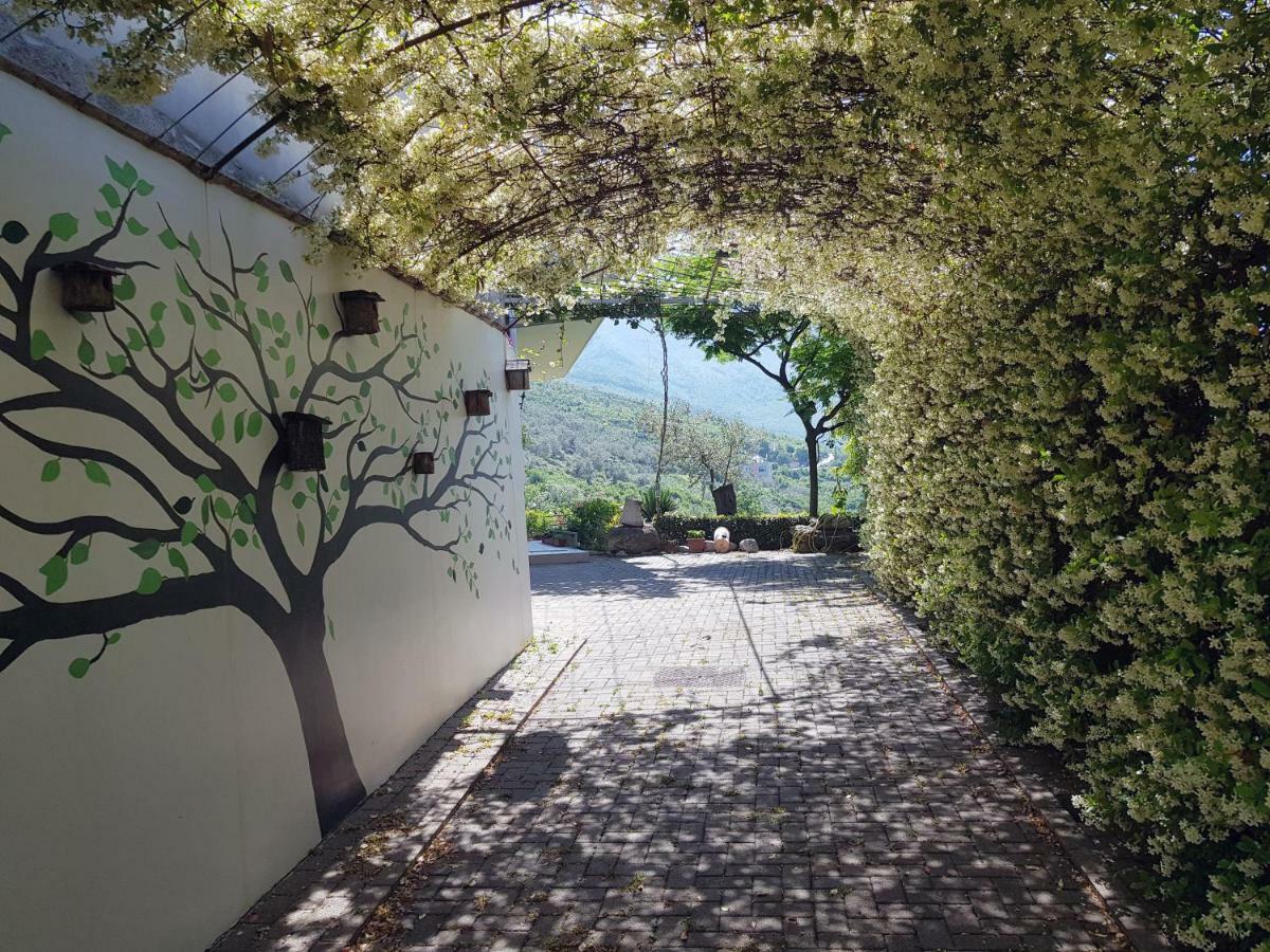 #Ioniahouse Surrel Villa Tiranë Luaran gambar